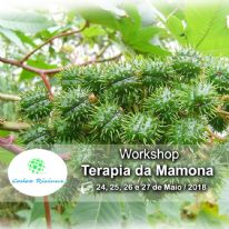 Workshop Terapia da Mamona